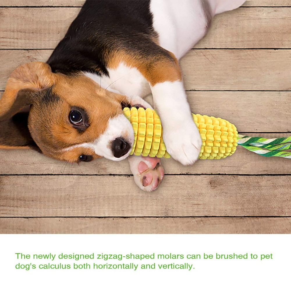 عصا مطاطية متينة للكلاب على شك - مراجعة Corn Dog Stick وسعره